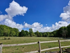 🌟 Rare à la vente – Propriété équestre en pierres 🌳 14 hectares de terrain