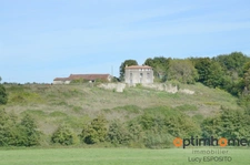 🌳✨ La Maison sur la Colline – 5 hectares Asnois (86) ✨🌳