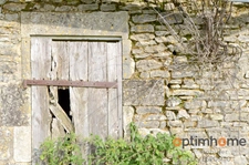 🌳✨ La Maison sur la Colline – 5 hectares Asnois (86) ✨🌳