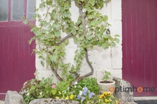 🏡 Spacieuse maison de campagne aux multiples possibilités – Saint-Christophe, Charente 🌳
