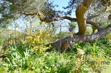 Charmante maison de campagne à Ambernac – Un véritable havre de paix prêt à vous accueillir ! 🌿✨
