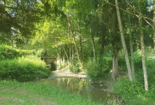 Beau camping avec maison d'habitation et 7.8ha de terrain 