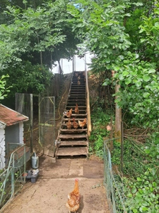 Beau camping avec maison d'habitation et 7.8ha de terrain 