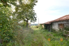 🌳✨ La Maison sur la Colline – 5 hectares Asnois (86) ✨🌳