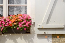 Belle maison avec 8 chambres dans un village pittoresque