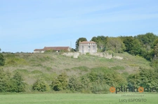 🌳✨ La Maison sur la Colline – 5 hectares Asnois (86) ✨🌳