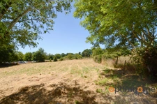 🏡 Ensemble immobilier avec énorme potentiel – Nieuil (Charente) 🌿