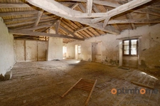 🌳✨ La Maison sur la Colline – 5 hectares Asnois (86) ✨🌳