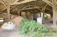 🌳✨ La Maison sur la Colline – 5 hectares Asnois (86) ✨🌳