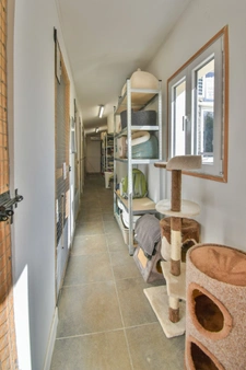 Maison rénovée de 4 chambres avec chatterie professionnelle