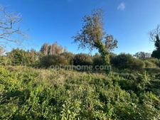 Terrain constructible avec permis purgé à vendre de 2500 m² SAINT GEORGES D'OLERON (17)