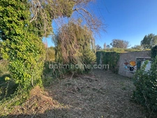 Terrain constructible avec permis purgé à vendre de 2500 m² SAINT GEORGES D'OLERON (17)