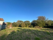 Terrain constructible avec permis purgé à vendre de 2500 m² SAINT GEORGES D'OLERON (17)
