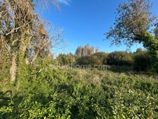 Terrain constructible avec permis purgé à vendre de 2500 m² SAINT GEORGES D'OLERON (17)