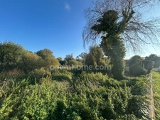 Terrain constructible avec permis purgé à vendre de 2500 m² SAINT GEORGES D'OLERON (17)