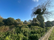 Terrain constructible avec permis purgé à vendre de 2500 m² SAINT GEORGES D'OLERON (17)