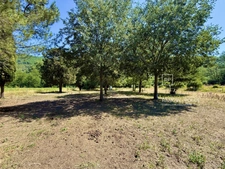 Maison à vendre 8 pièces MOLIERES SUR CEZE (30)