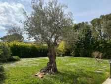 Dpt Gard (30), à vendre ALES maison P5 de 210 m² - Terrain de 1 700,00 m² 