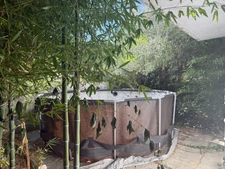 Maison à vendre 7 pièces ALES (30)