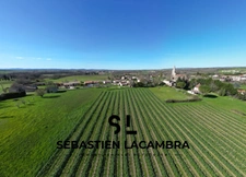 Découvrez le Coup de Cœur du Triangle d’Or : Maison Rénovée au Charme Unique avec Vue Panoramique sur les Vignes Bio!