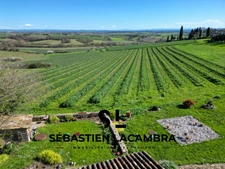 Découvrez le Coup de Cœur du Triangle d’Or : Maison Rénovée au Charme Unique avec Vue Panoramique sur les Vignes Bio!