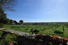 Découvrez le Coup de Cœur du Triangle d’Or : Maison Rénovée au Charme Unique avec Vue Panoramique sur les Vignes Bio!