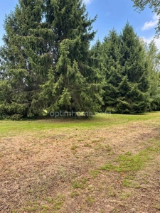 🏡 PROPRIÉTÉ DE CARACTÈRE À DON – 267 M² – TERRAIN D’ENVIRON 2 500 M²