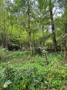 CHARMANTE MAISON DE 78 M² AVEC PARTIE BOISÉE