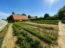 Magnifique maison familiale de 143 m² sur 3797 m² de terrain avec un espace boisé