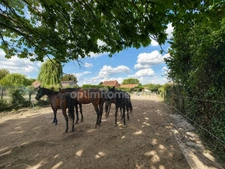 🏡✨ À VENDRE – BURBURE ✨🏡