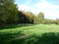 OPPORTUNITÉ RARE ! Terrain constructible à vendre de 3000 m² FEBVIN PALFART (62)