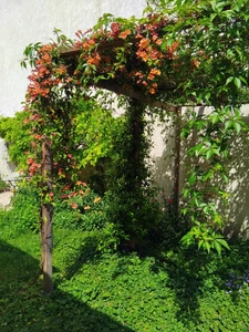 Bien rare aux portes de Paris – Appartement mixte de plein pied à usage d’habitation avec jardin privatif