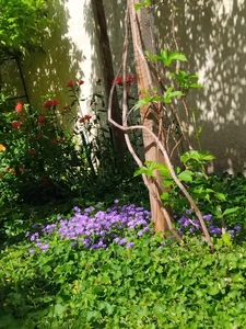 Bien rare aux portes de Paris – Appartement mixte de plein pied à usage d’habitation avec jardin privatif