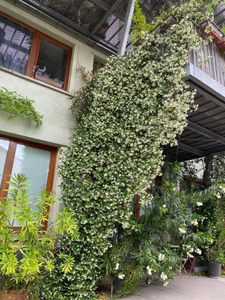 Duplex avec terrasse – À 4 min du métro Robespierre
