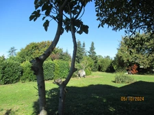 House for sale 8 rooms (09)