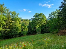 Land for sale near Foix (09)