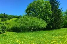 Land for sale near Foix (09)
