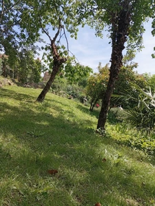House for sale 5 rooms SAINT JEAN DU FALGA (09)