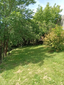 House for sale 5 rooms SAINT JEAN DU FALGA (09)