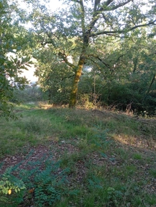 Terrain à vendre  ALBI (81)