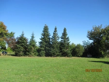 House for sale 8 rooms (09)