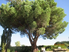 House for sale 8 rooms (09)