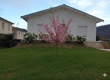 House for sale, 5 rooms, FOIX (09)