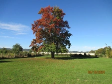 House for sale 8 rooms (09)