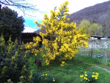 Maison à vendre 5 pièces proche de FOIX (09)