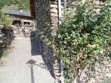 House for sale, 4 rooms (09)