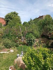 House for sale 5 rooms SAINT JEAN DU FALGA (09)
