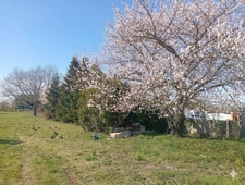 House for sale 8 rooms (09)