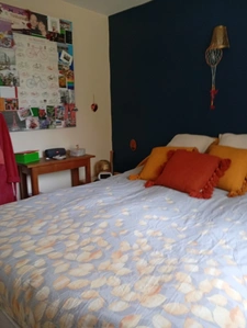 House for sale 5 rooms SAINT JEAN DU FALGA (09)