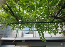 House for sale, 7 rooms (09)